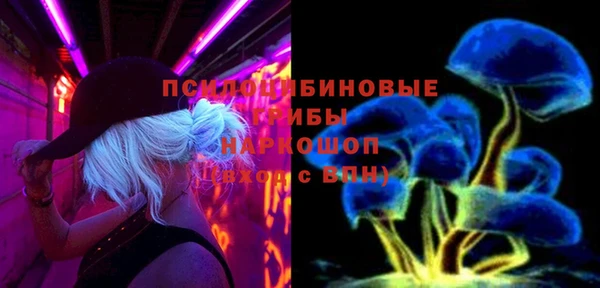 гидропоника Абаза